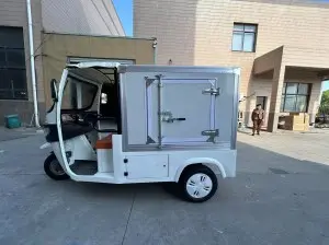 Electric Tricycle with Cabin Closed Cargo Box for Delivery