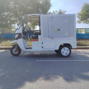 Electric Tricycle with Cabin Closed Cargo Box for Delivery