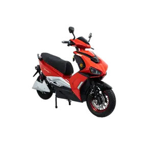 Two-wheeled Electric Bike :Model: Display
