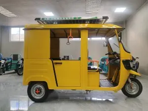Electric  Passenger Tricycle Green Tuk Tuk Vehicles (S2- 2880)