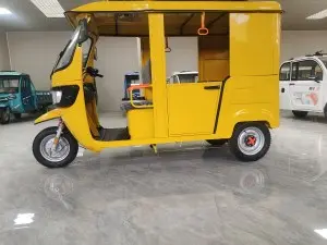 Electric  Passenger Tricycle Green Tuk Tuk Vehicles (S2- 2880)