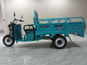 Hot Selling Cargo Electric Tricycle 1.6 meters of homemade hemp steel