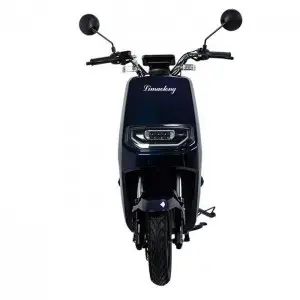 Two-wheeled Electric Bike :Model: H1