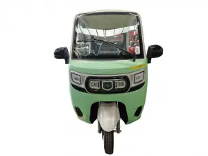 Electric Tricycle Fully Enclosed Trike Passenger Tricycle for Family Use（DK09)