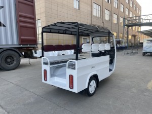 White Side seat passenger vehicle Electric Tricycle