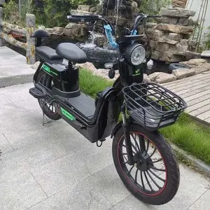 Two-wheeled Electric Bike :Model: Big Cattle