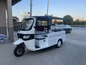 White Side seat passenger vehicle Electric Tricycle