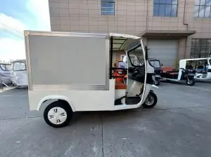 Electric Tricycle with Cabin Closed Cargo Box for Delivery
