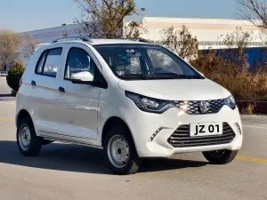 Mini  4 Wheel Passenger Car Electric Vehicle for Taxi（JZ 01)