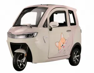 Electric Tricycle Fully Enclosed Trike Passenger Tricycle for Family Use（CJ-DK13)