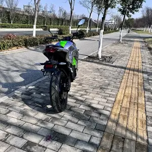 Two-wheeled Electric Bike :Model: Constrictor